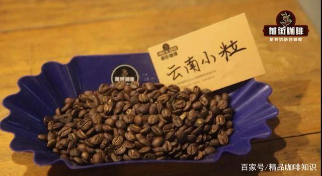 云南咖啡豆品种风味描述特点口感 为什么云南很少种植铁皮卡品种